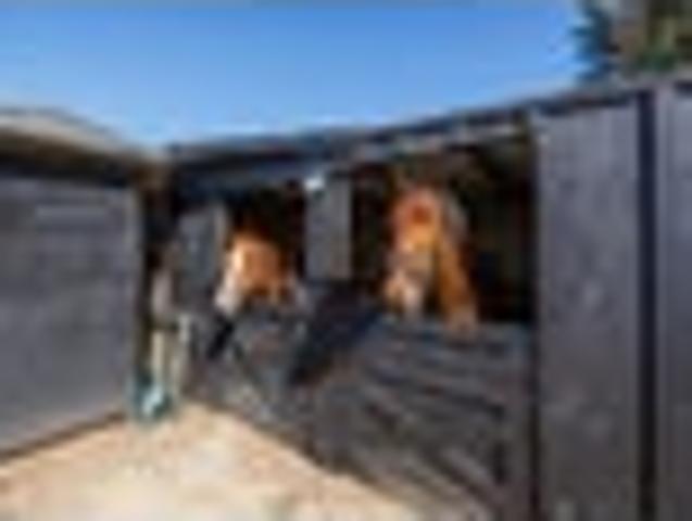 House for sale in Manawatu District