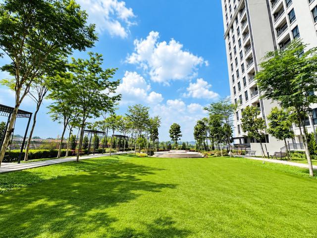 Serviced Residence for rent in Petaling, Subang Jaya