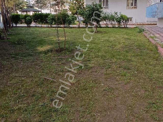 Batman Merkez, Batman içerisinde kiralık mülk