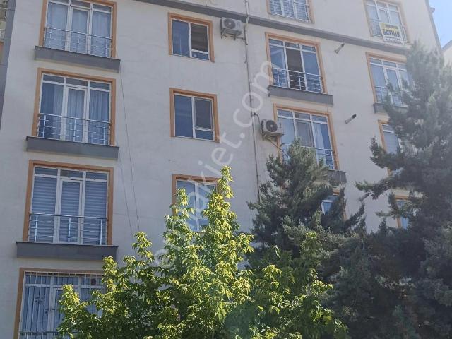 Batman Merkez, Batman içerisinde kiralık mülk