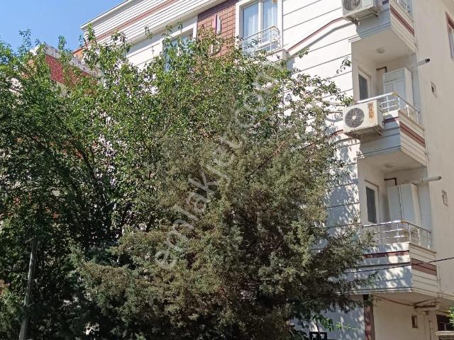 Batman Merkez, Batman içerisinde kiralık mülk