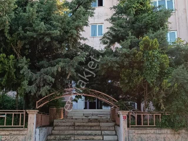 Batman Merkez, Batman içerisinde kiralık mülk