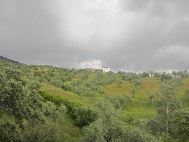 Casa en alquiler en Pozoblanco, Andalucía