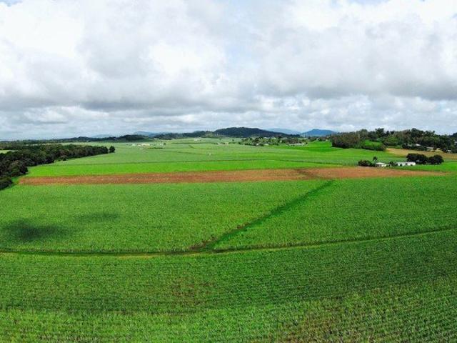 Cottage for sale in Farleigh, Queensland