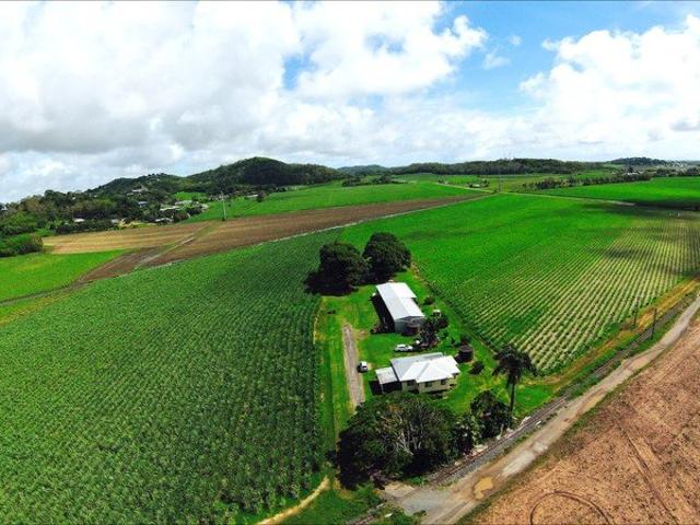 Cottage for sale in Farleigh, Queensland