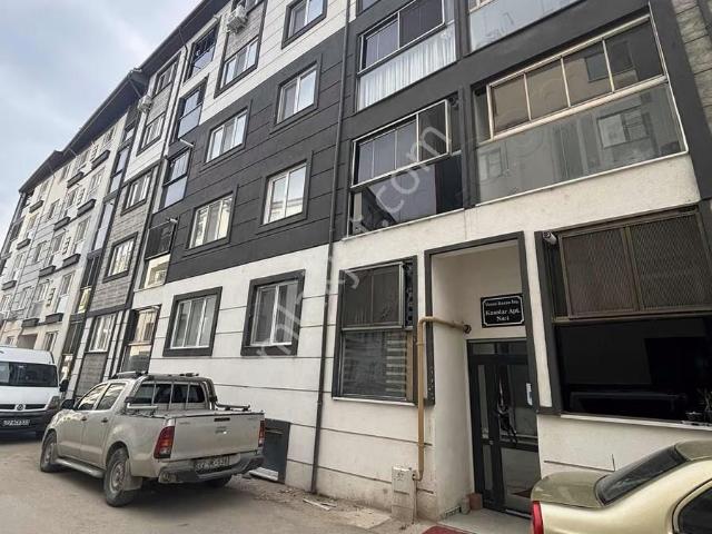 Edirne Merkez, Edirne içerisinde kiralık mülk