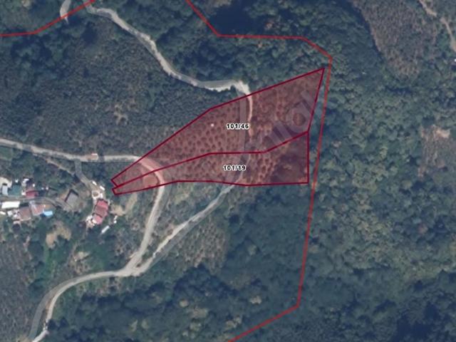 Kozluca, Ortahisar içerisinde satılık Arsa