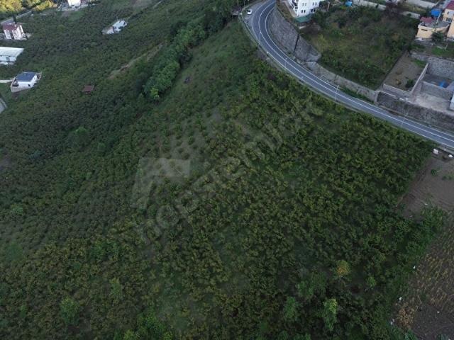 Akyazı Mahallesi, Ortahisar içerisinde satılık Arsa