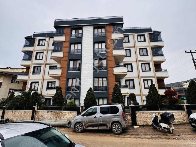 Körfez, Kocaeli içerisinde kiralık mülk