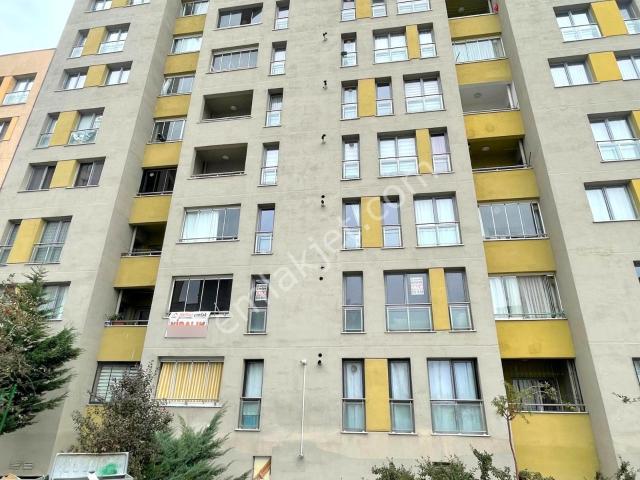 Karaağaç Mahallesi, Mamak içerisinde kiralık mülk