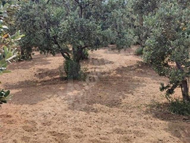 Alaettin Mahallesi, Erdek içerisinde satılık mülk