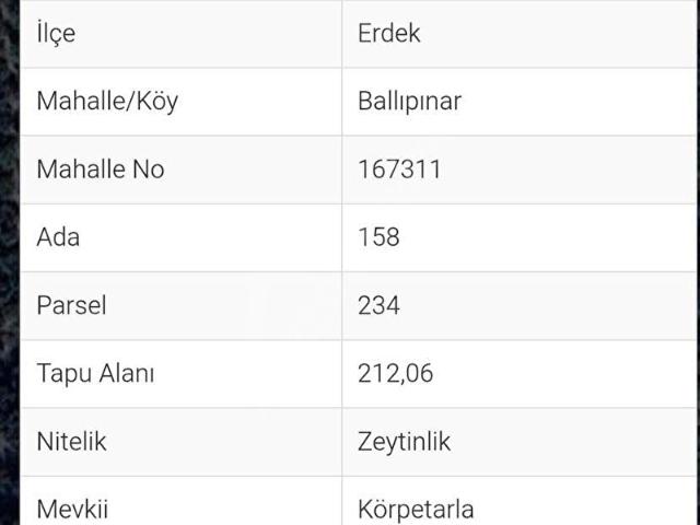 Ballıpınar Mahallesi, Erdek içerisinde satılık mülk