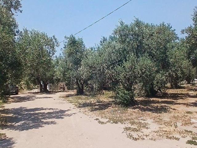 Yukarıyapıcı Mahallesi, Erdek içerisinde satılık mülk