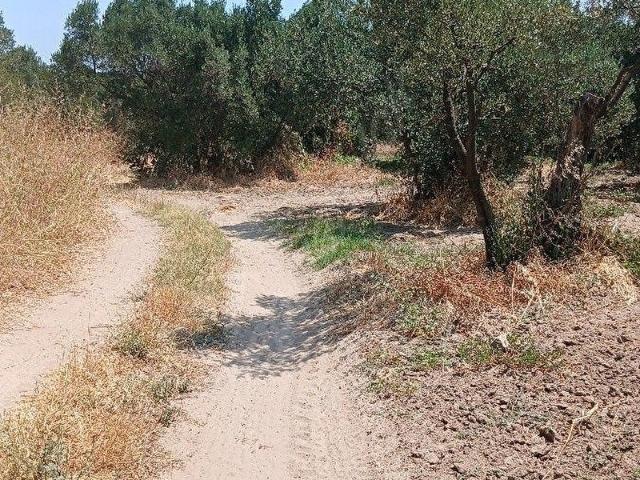 Yukarıyapıcı Mahallesi, Erdek içerisinde satılık mülk
