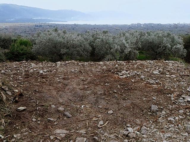 Hamamlı Mahallesi, Erdek içerisinde satılık mülk