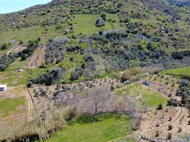 Çakıl Mahallesi, Erdek içerisinde satılık Arsa