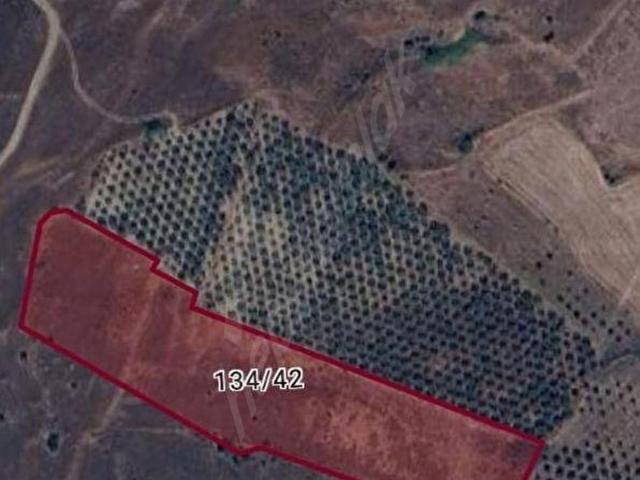 Paşalimanı Mahallesi, Erdek içerisinde satılık Arsa