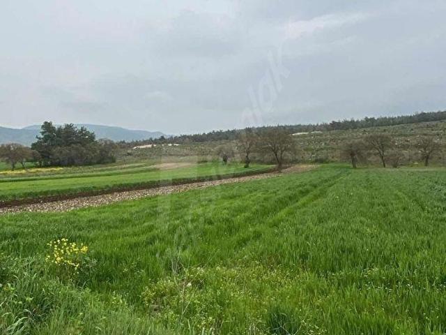 Yolbaşı, Bigadiç içerisinde satılık Arsa