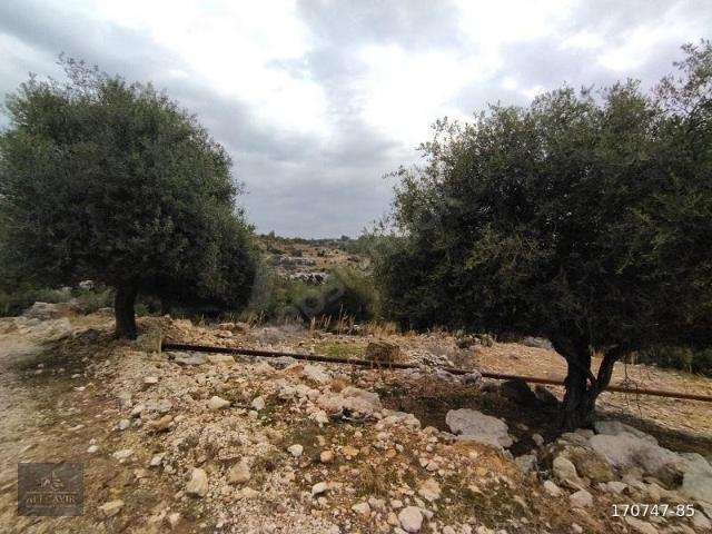 Erdemli, Mersin içerisinde satılık Arsa