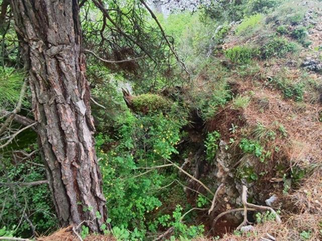 Erdemli, Mersin içerisinde satılık Arsa