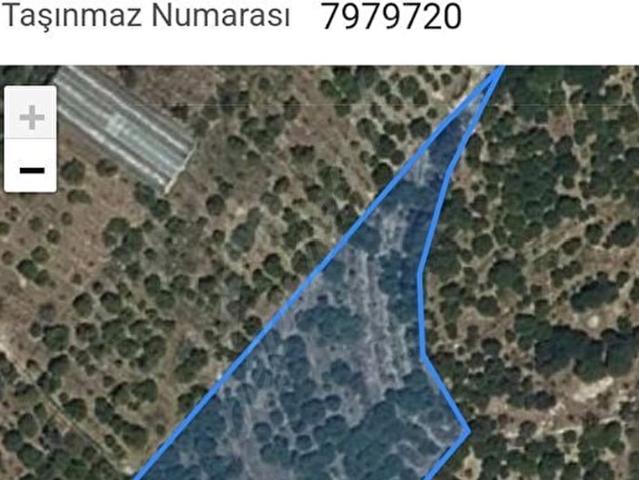 Erdemli, Mersin içerisinde satılık mülk