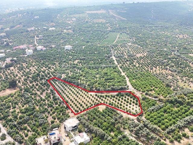 Çiftepınar, Erdemli içerisinde satılık Arsa