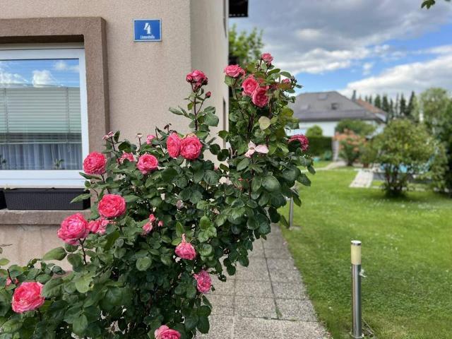 Wohnung mieten in Melk, Niederösterreich