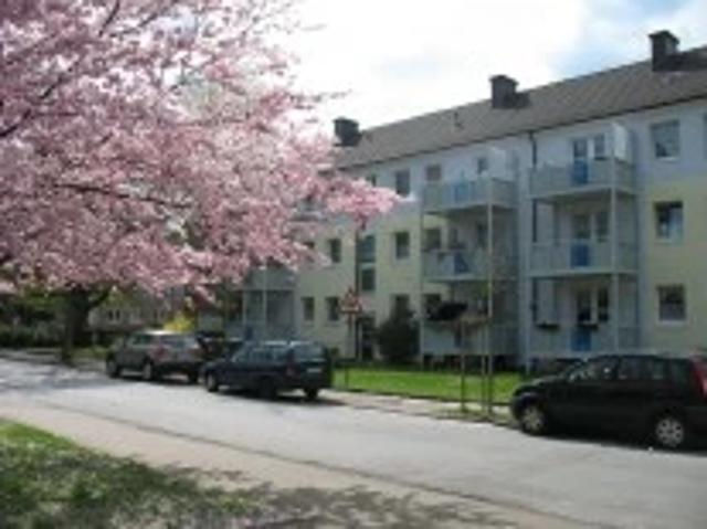 Apartment mieten in Geistviertel, Lünen