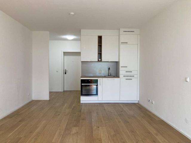 Apartment mieten in Urfahr, Linz