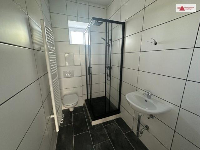 Apartment mieten in Richzenhain, Hartha