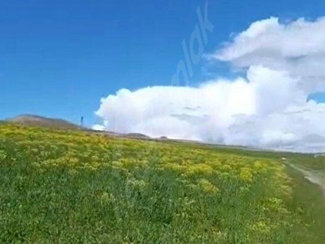 Van Merkez, Van içerisinde satılık Arsa
