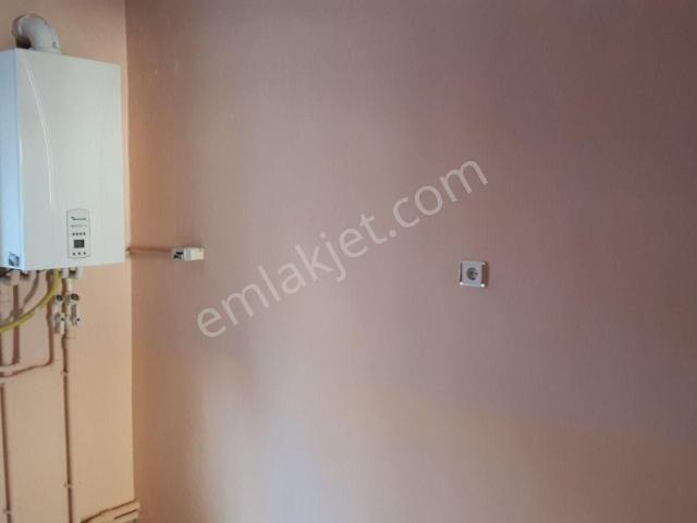 Ereğli, Zonguldak içerisinde kiralık mülk