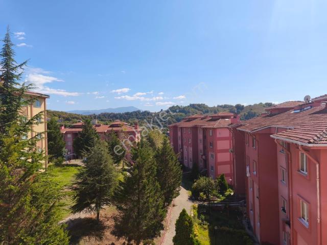 Alapli, Zonguldak içerisinde satılık mülk