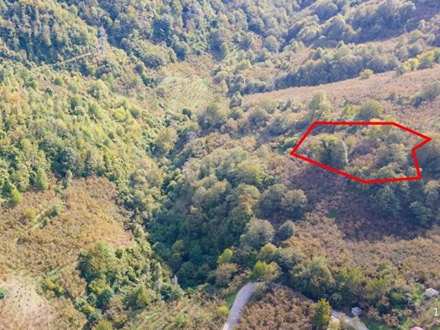 Terzi, Ereğli içerisinde satılık Arsa