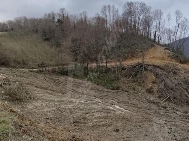 Ereğli, Zonguldak içerisinde satılık Arsa