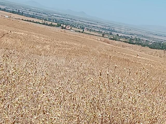 Toros Mah., Ereğli içerisinde satılık Arsa