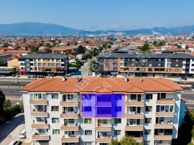 Düzce Merkez, Düzce içerisinde kiralık mülk