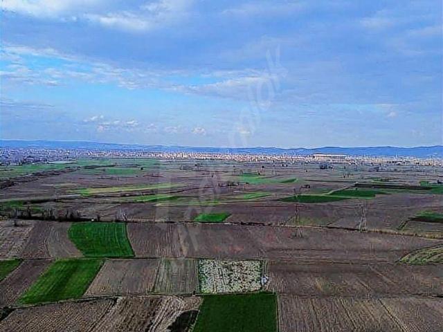 Erenler, Sakarya içerisinde satılık mülk