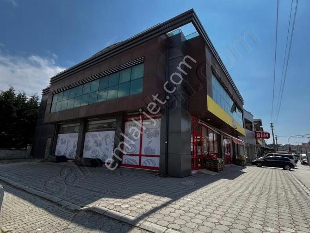 Erenler, Sakarya içerisinde kiralık mülk