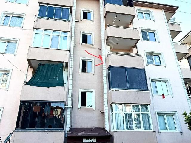 Erenler Mahallesi, Erenler içerisinde kiralık mülk