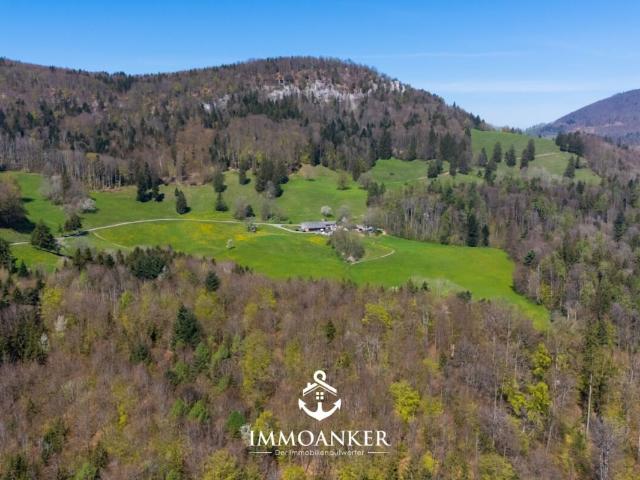 Landwirtschaft kaufen in Oberbuchsiten, Solothurn