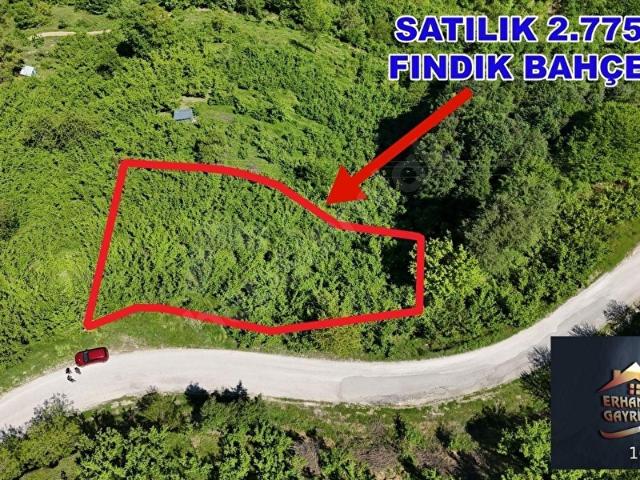 Yiğilca, Düzce içerisinde satılık Arsa