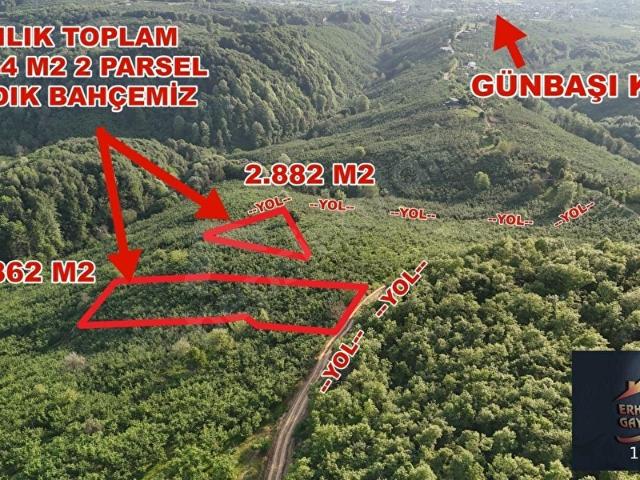 Düzce Merkez, Düzce içerisinde satılık Arsa