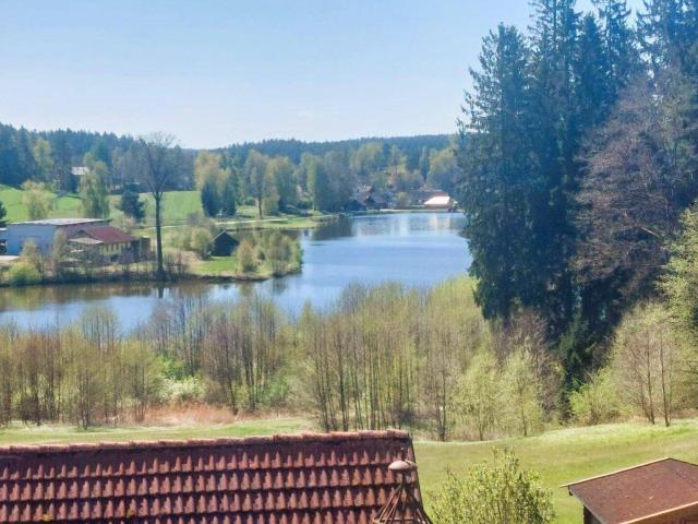 Haus kaufen in Litschau, Niederösterreich