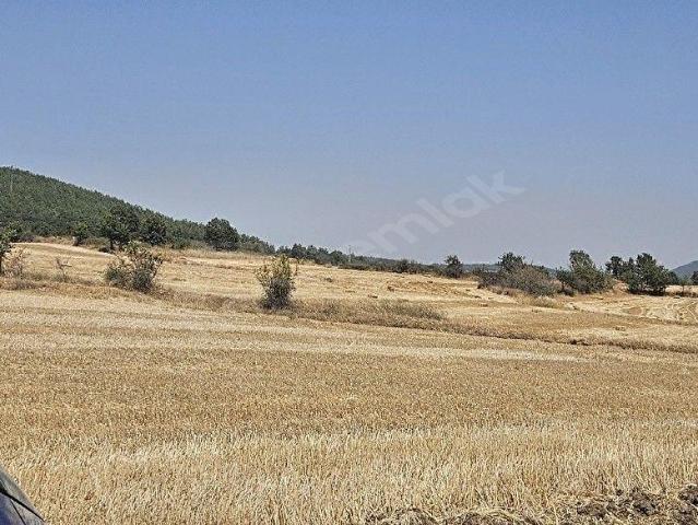 Erikli, Keşan içerisinde satılık Arsa
