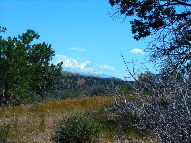 Land for sale in Montague, California