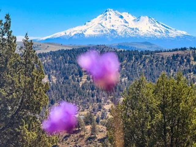 Land for sale in Montague, California