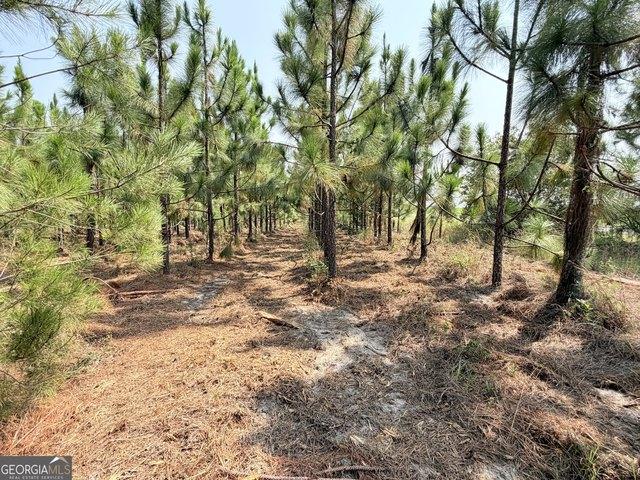 Land for sale in Alamo, Georgia