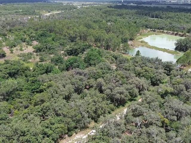 Land for sale in Babson Park, Florida