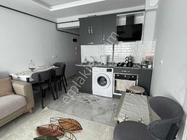 Sofular, Merzifon içerisinde kiralık mülk